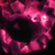 :iconbsliau08: