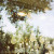 :iconbstreamside: