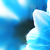 :iconBtVSfreak: