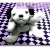 :iconbu2pionc2: