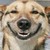 :iconbubba-loo: