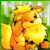 :iconbubblebell74: