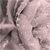 :iconbubbleboophotography: