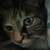 :iconbubblebot123: