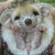 :iconbubblegumduchess: