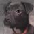 :iconbubblegumzoo: