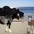 :iconbubblespiritdesigns: