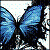 :iconbubbletop13:
