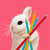 :iconbubblybun: