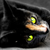 :iconbubs-for-lubs: