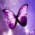 :iconbubuletaroxa: