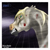 :iconbuck1505: