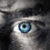 :iconbuckbeakhp: