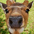 bucket-o-pocky :iconbucket-o-pocky: