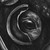 :iconbuckpasser:
