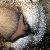 :iconbuckskinheart: