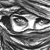 :iconbuckwolf: