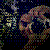 :iconbud-photography: