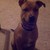 :iconbud75: