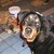 :iconbuddy29er: