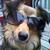 :iconbuddy4nibbs: