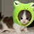 :iconbuddyshasta: