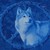 :iconbuddywolf555: