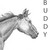 :iconbudhorse4: