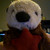 :iconbudihollijr: