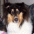 :iconbudsauntkathe: