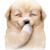 :iconbudsol: