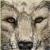 :iconbuffy2204:
