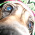 :iconbuffy8822: