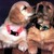 :iconbuffybot82:
