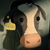 :iconbuggie27: