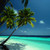 :iconbuk2: