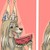 :iconbulavka1223: