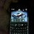 :iconbull095: