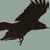 :iconbullet-proof: