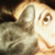 :iconbulletbrainbabe: