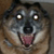:iconbulletwolf: