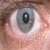 :iconbullfrog21: