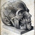 :iconbulliwulf: