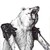 :iconbullrunpicnicker: