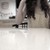 :iconbullterier: