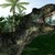 :iconbulltrex: