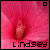 :iconbullyandbestfriend: