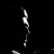 :iconbumblebee-tree: