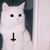 :iconbumpiss666: