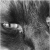 :iconbumshti: